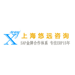 **上海快消业数字治企SAP合作合实施引导主精